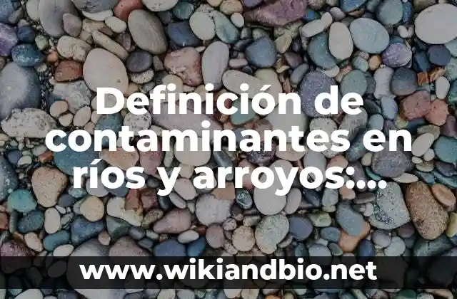 Definición de contaminantes en ríos y arroyos: según Autor, Ejemplos, qué es, Concepto y Significado