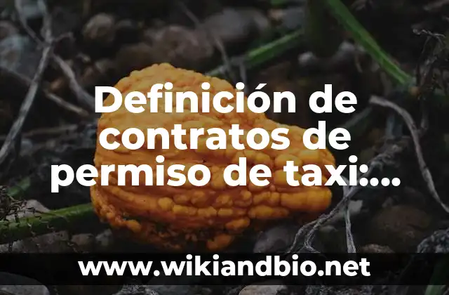 Definición de contratos de permiso de taxi: según Autor, Ejemplos, qué es, Concepto y Significado