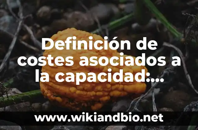 Definición de costes asociados a la capacidad: según Autor, Ejemplos, qué es, Concepto y Significado
