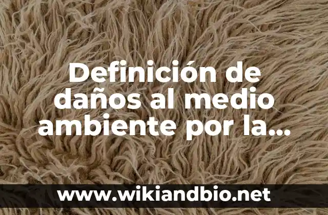 Definición de daños al medio ambiente por la globalización: según Autor, Ejemplos, qué es, Concepto y Significado