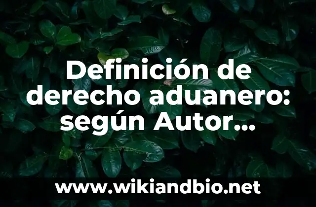 Definición de derecho aduanero: según Autor, Ejemplos, qué es, Concepto y Significado