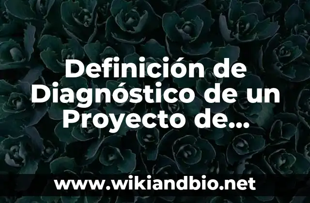 Definición de Diagnóstico de un Proyecto de Emprendimiento: según Autor, Ejemplos, qué es, Concepto y Significado