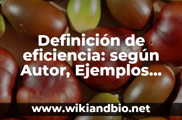 Definición de eficiencia: según Autor, Ejemplos, qué es, Concepto y Significado