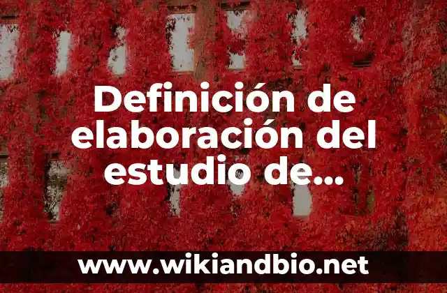 Definición de elaboración del estudio de mercado: según Autor, Ejemplos, qué es, Concepto y Significado