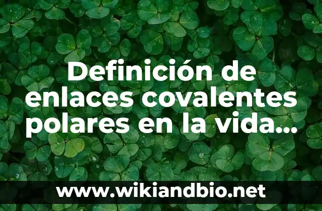 Definición de enlaces covalentes polares en la vida cotidiana: según Autor, Ejemplos, qué es, Concepto y Significado