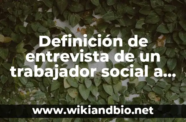 Definición de entrevista de un trabajador social a un usuario: según Autor, Ejemplos, qué es, Concepto y Significado