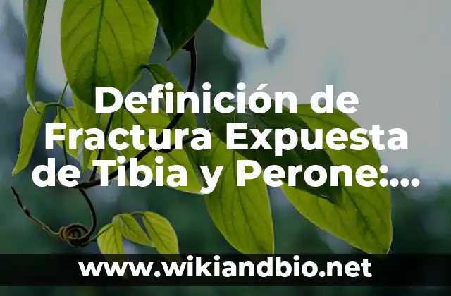 Definición de Fractura Expuesta de Tibia y Perone: Significado, Ejemplos y Autores