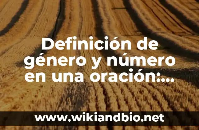 Definición de género y número en una oración: según Autor, Ejemplos, qué es, Concepto y Significado