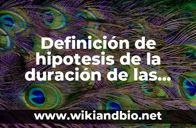 Ejemplos de hipótesis de la duración de las empresas