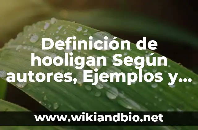Definición técnica de hooligan