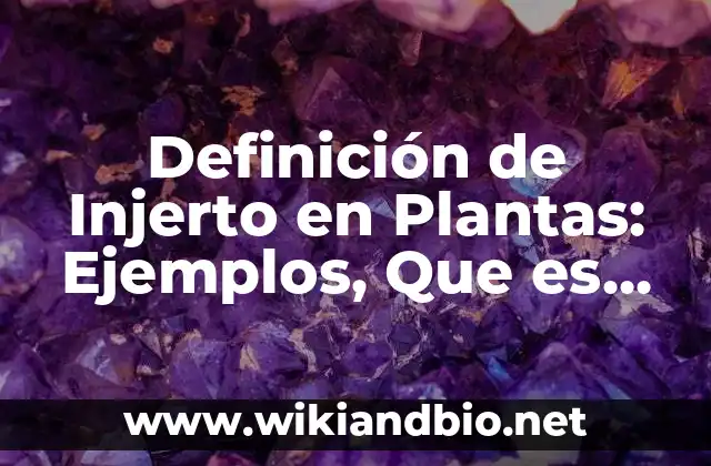 Definición de Injerto en Plantas: Ejemplos, Que es, Autores