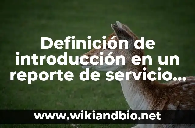 Definición de introducción en un reporte de servicio social: según Autor, Ejemplos, qué es, Concepto y Significado