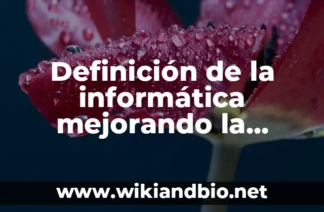 Definición de la informática mejorando la calidad de vida: según Autor, Ejemplos, qué es, Concepto y Significado