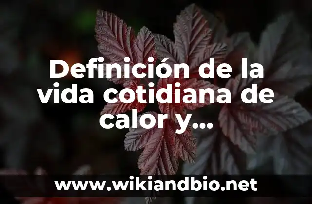 Definición de la vida cotidiana de calor y temperatura: según Autor, Ejemplos, qué es, Concepto y Significado