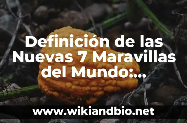 Definición de las Nuevas 7 Maravillas del Mundo: Ejemplos, Autores y Concepto