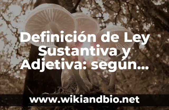 Definición de Ley Sustantiva y Adjetiva: según Autor, Ejemplos, qué es, Concepto y Significado