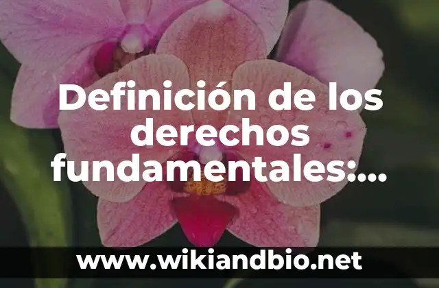 Definición de los derechos fundamentales: según Autor, Ejemplos, qué es, Concepto y Significado