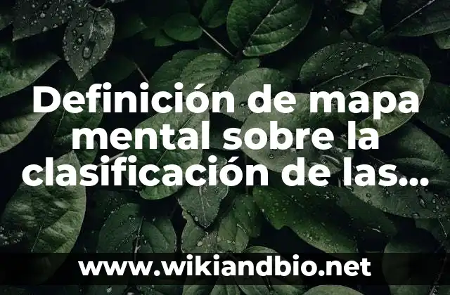 Definición de mapa mental sobre la clasificación de las empresas: según Autor, Ejemplos, qué es, Concepto y Significado