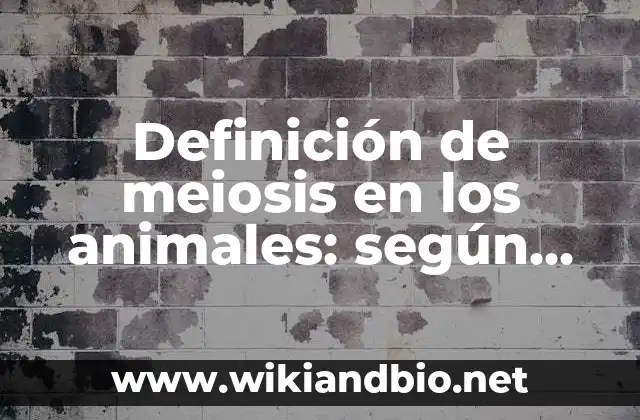 Definición de meiosis en los animales: según Autor, Ejemplos, qué es, Concepto y Significado