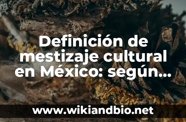 Definición de mestizaje cultural en México: según Autor, Ejemplos, qué es, Concepto y Significado