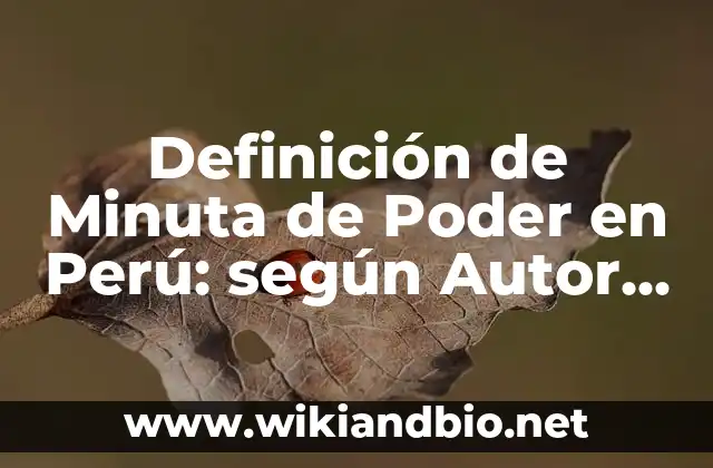 Definición de Minuta de Poder en Perú: según Autor, Ejemplos, qué es, Concepto y Significado