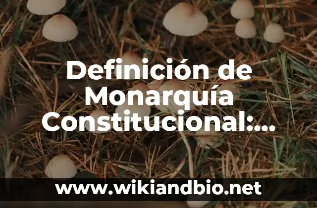 Definición de Monarquía Constitucional: Ejemplos, Que es, Autores