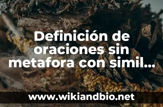 Definición de oraciones sin metafora con simil y con metafora: según Autor, Ejemplos, qué es, Concepto y Significado