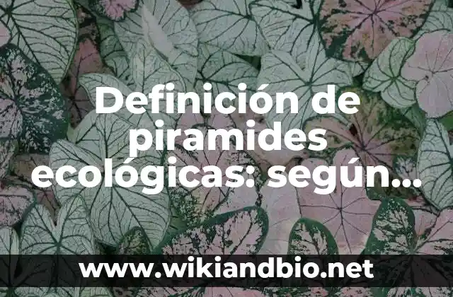 Definición de proposición en lógica proposicional: Significado, Ejemplos y Autores 6 Definición de piramides ecológicas: según Autor, Ejemplos, qué es, Concepto y Significado