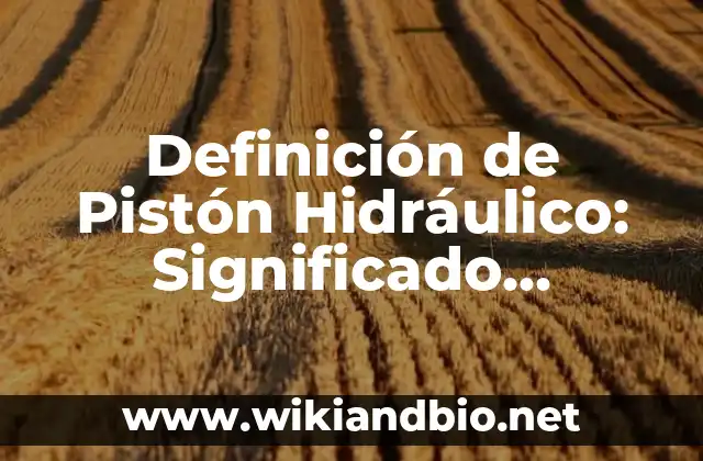 Definición de Pistón Hidráulico: Significado, Ejemplos y Autores