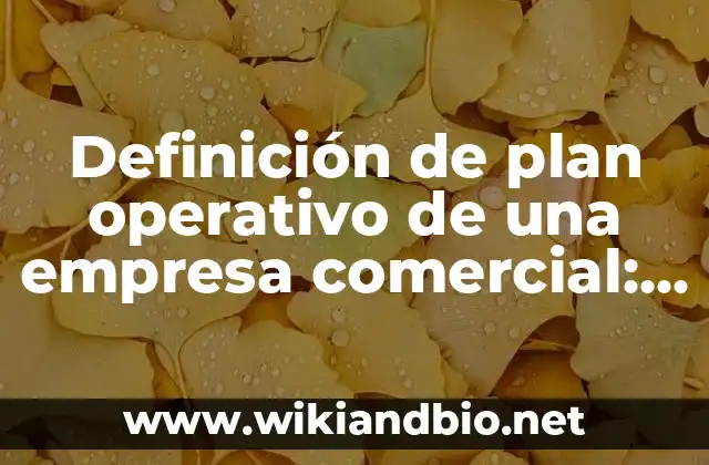 Definición de plan operativo de una empresa comercial: según Autor, Ejemplos, qué es, Concepto y Significado