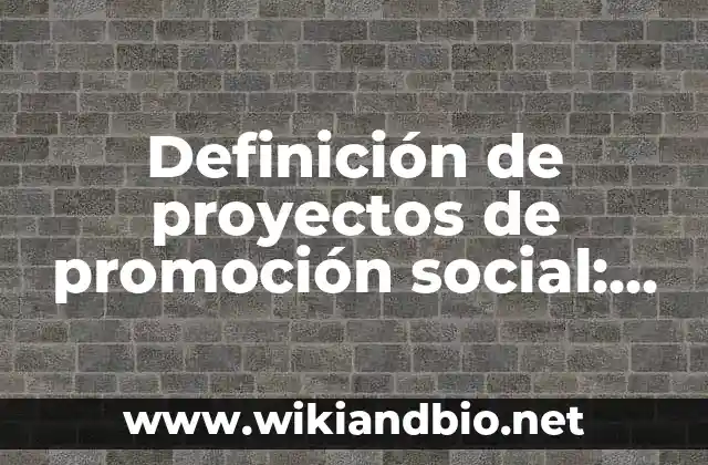 Definición de proyectos de promoción social: según Autor, Ejemplos, qué es, Concepto y Significado