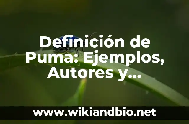 Definición de Puma: Ejemplos, Autores y Concepto