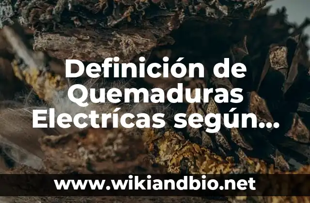Definición de Quemaduras Electrícas según Autor, ejemplos, qué es, Concepto y Significado