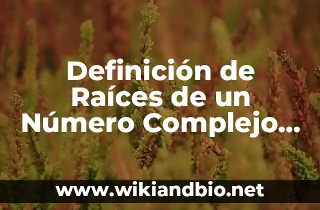 Definición de Raíces de un Número Complejo según Autor, ejemplos, qué es, Concepto y Significado