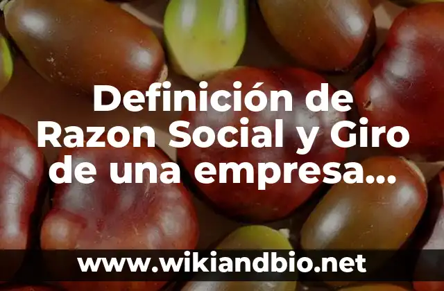 Definición de Razon Social y Giro de una empresa según Autor, ejemplos, qué es, Concepto y Significado
