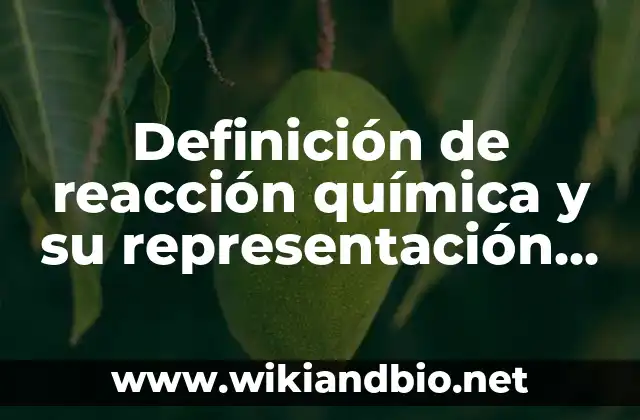 Definición técnica de reacción química