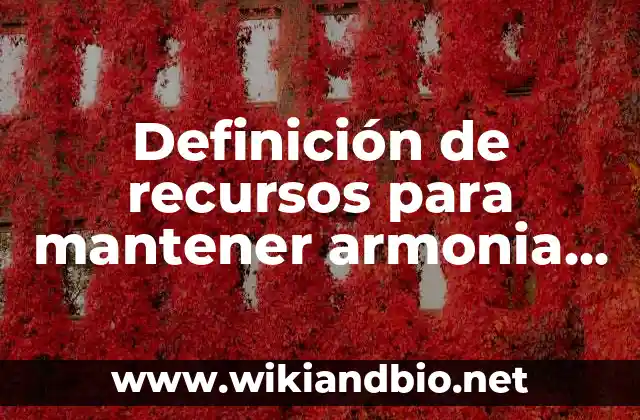 Definición de recursos para mantener armonia y equilibrio personal según Autor, ejemplos, qué es, Concepto y Significado