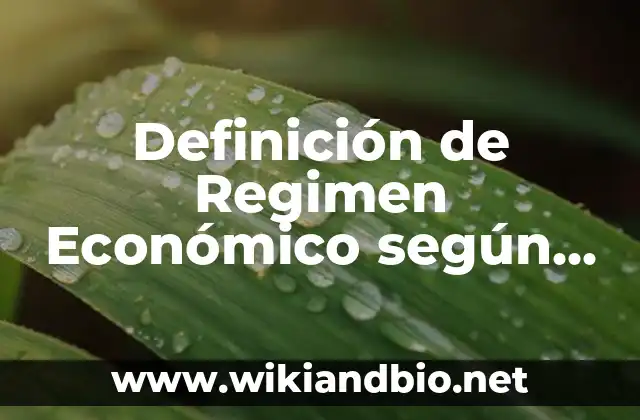 Definición de Regimen Económico según Autor, ejemplos, qué es, Concepto y Significado