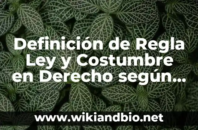Definición de Regla Ley y Costumbre en Derecho según Autor, ejemplos, qué es, Concepto y Significado