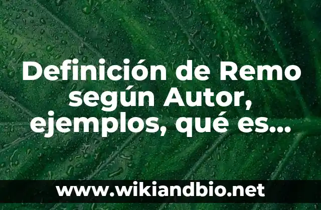 Definición de Remo según Autor, ejemplos, qué es, Concepto y Significado