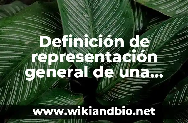 Definición técnica de representación general de una reacción química