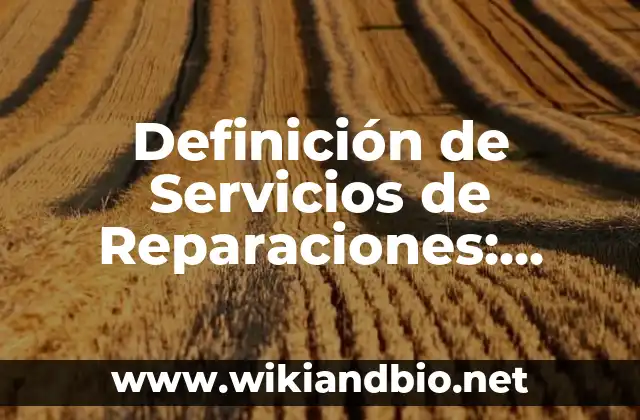 Definición de Servicios de Reparaciones: según Autor, Ejemplos, qué es, Concepto y Significado
