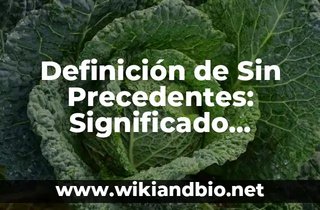 Definición de Sin Precedentes: Significado, Ejemplos y Autores