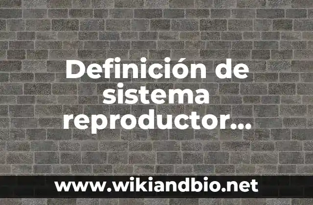 Definición técnica del sistema reproductor masculino