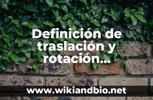 Definición de traslación y rotación geométrica en el pano: Ejemplos, Autores y Concepto