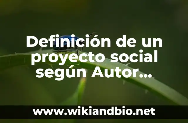 Definición de un proyecto social según Autor, ejemplos, qué es, Concepto y Significado