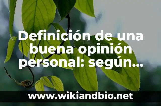 Definición de una buena opinión personal: según Autor, Ejemplos, qué es, Concepto y Significado