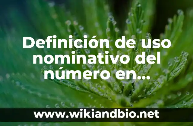Definición técnica del uso nominativo del número en preescolar