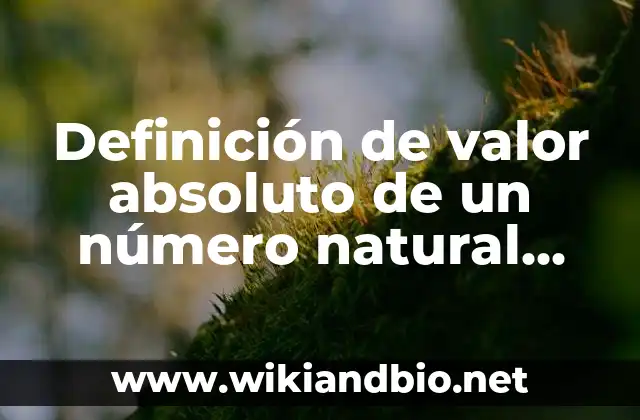 Definición técnica del valor absoluto de un número natural