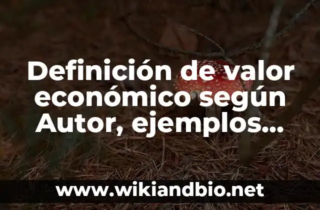 Definición de valor económico según Autor, ejemplos, qué es, Concepto y Significado